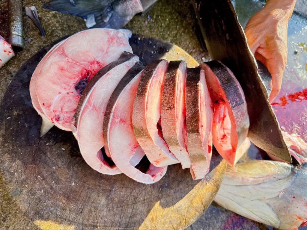 Cá bóp tươi Nha Trang thumbnail 3