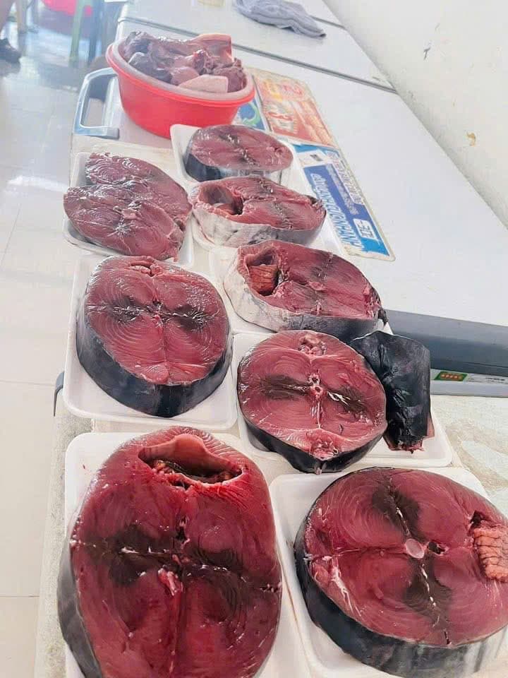 Cá dưa gang tươi Nha Trang thumbnail 4