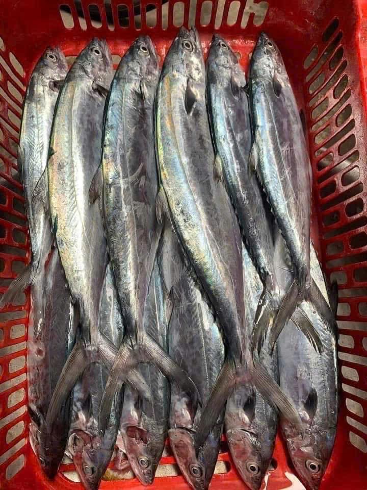 Chả cá thu Nha Trang thumbnail 3