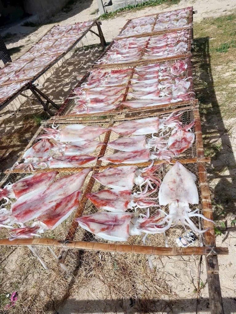 Mực ống dẻo Nha Trang thumbnail 4