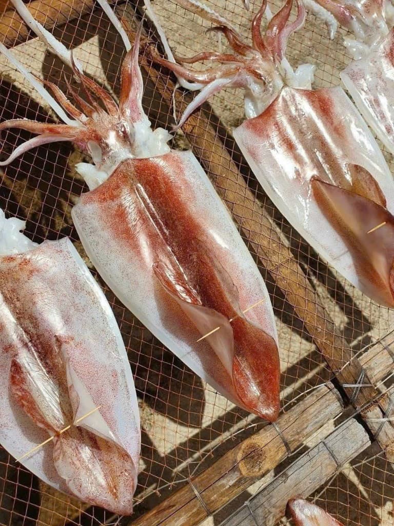Mực ống dẻo Nha Trang thumbnail 5