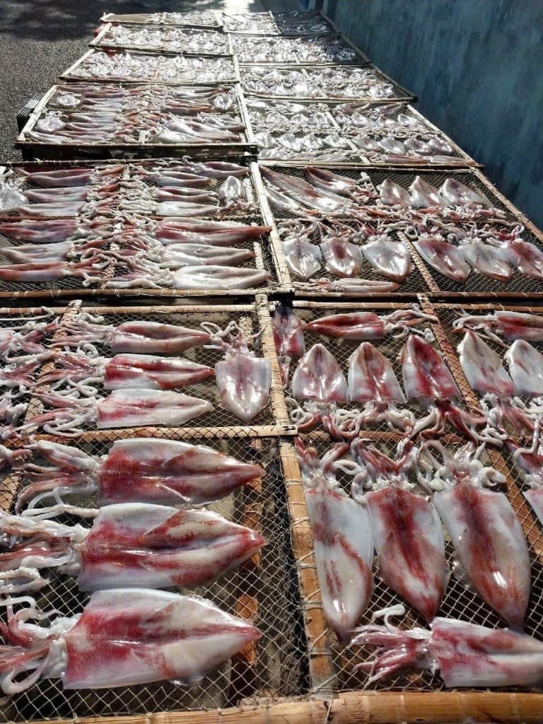 Mực ống dẻo Nha Trang thumbnail 12